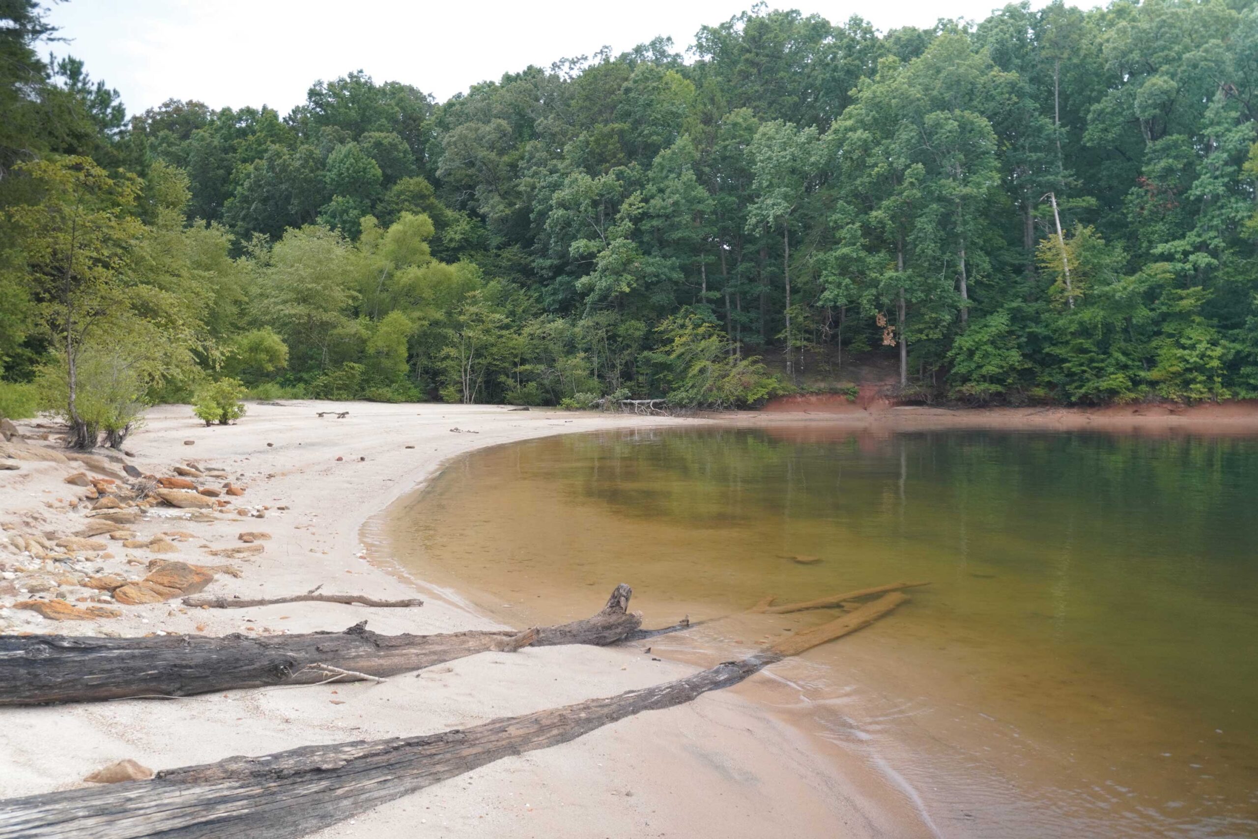 View of the scene in South Carolina