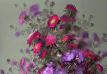 "Asters and Phlox" (pastel) by Vera Kavura