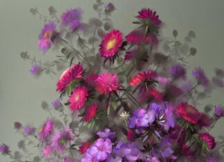 "Asters and Phlox" (pastel) by Vera Kavura