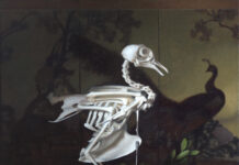 A Vanitas How-To: “Conversation About Immortality” "A Conversation About Mortality" vanitas painting by Christina Grace Mastrangelo