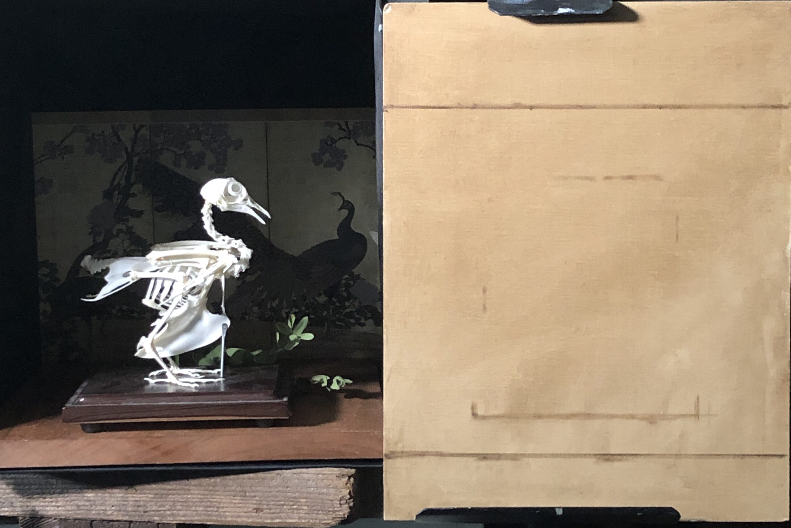 Vanitas painting how-to