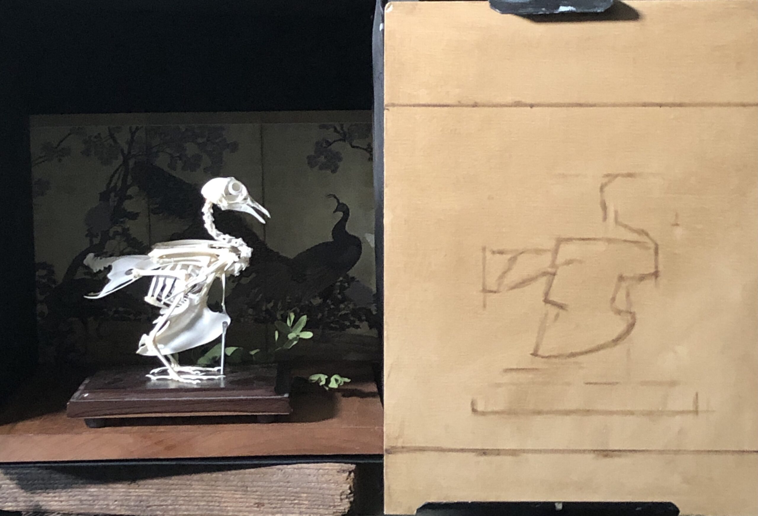 Vanitas painting how-to