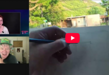 How to Build a Daily Sketching Practice How to Create a Daily Sketching Practice