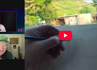 How to Create a Daily Sketching Practice